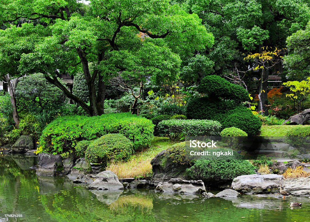 Jardim japonês - Foto de stock de Cultura Asiática royalty-free