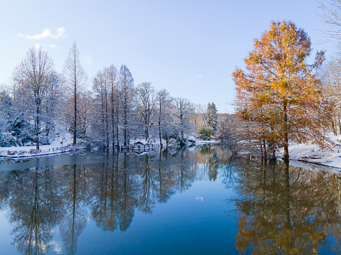 Ataturk Arboretum in the Winter Season Drone Photo, Bahcekoy Sariyer, Istanbul Turkey (Turkiye)