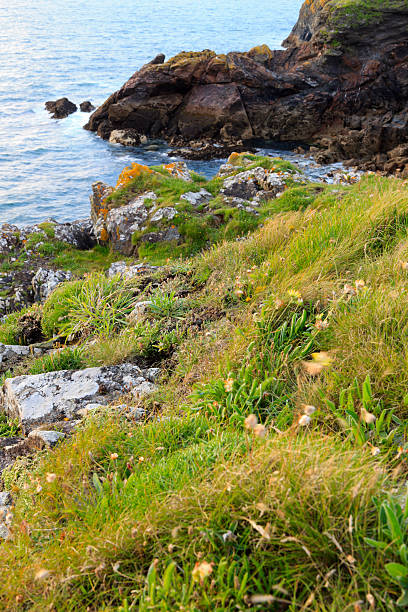 vista sulla costa di port quin in cornovaglia - scenics coastline uk moss foto e immagini stock