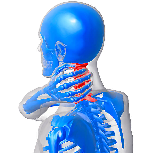 dolore al collo - human bone forensic science medical scan morphology foto e immagini stock