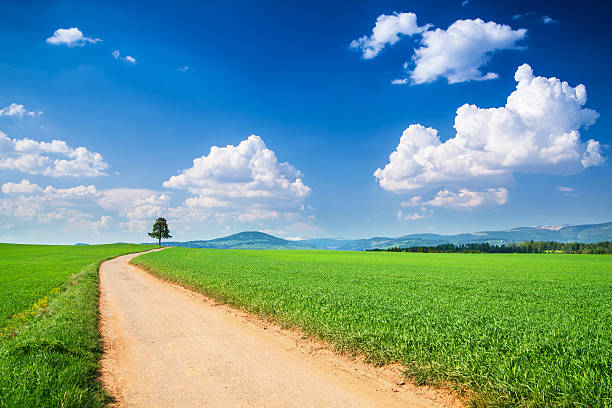Spring Landscape - Country road and Green Fields stock photo