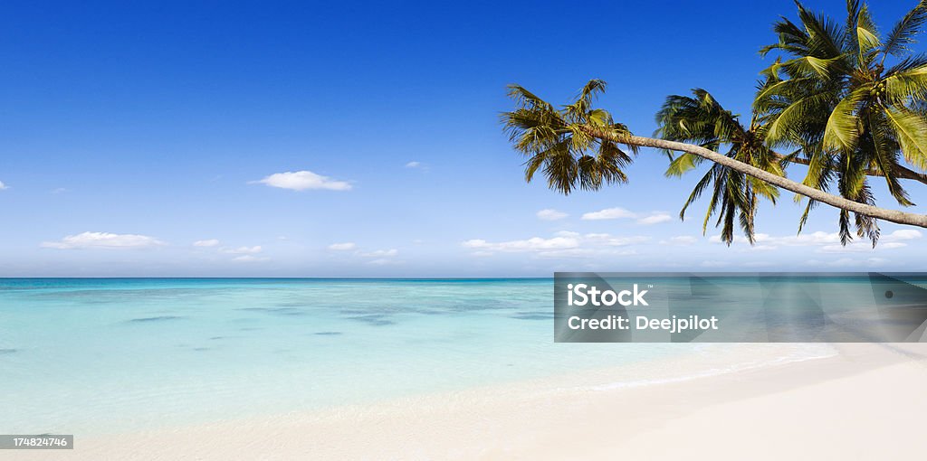 Tropische Strand und Palmen Bäume Paradies - Lizenzfrei Palme Stock-Foto