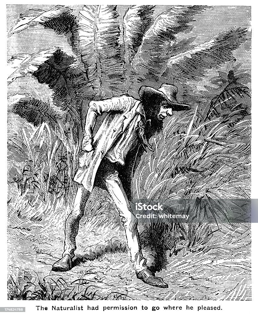 Naturforscher auf Beutezug – - Lizenzfrei 1850-1859 Stock-Illustration