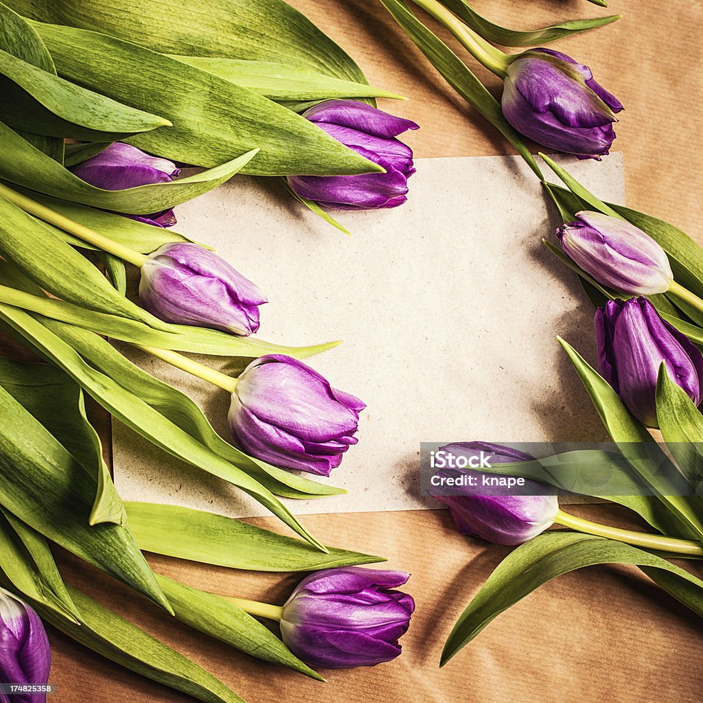 Frühling Tulpen - Lizenzfrei Bildhintergrund Stock-Foto