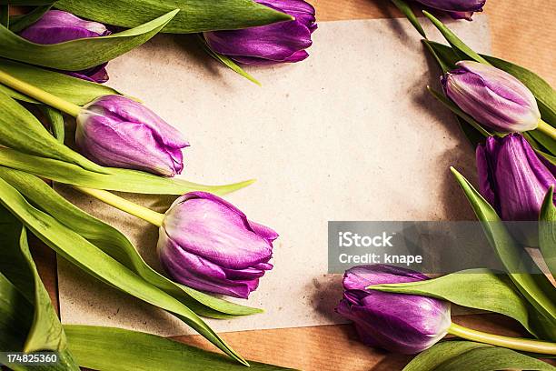 Tulipanes De Primavera Foto de stock y más banco de imágenes de Arreglo - Arreglo, Belleza, Belleza de la naturaleza