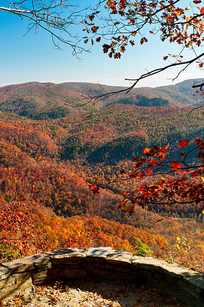 chestoa vista, milepost 320, blue ridge parkway, carolina del nord, stati uniti - blue ridge mountains autumn great smoky mountains tree foto e immagini stock