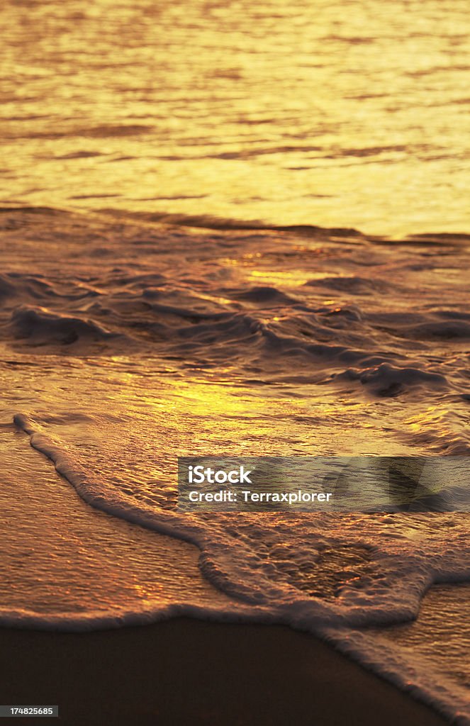 Surf en la playa durante la puesta del sol - Foto de stock de Agua libre de derechos