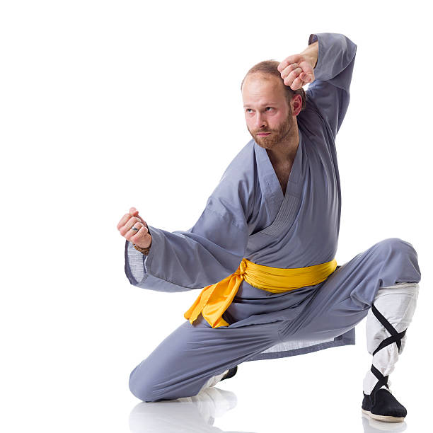 kung fu fighting posição isolada no branco - self defense wushu action aggression - fotografias e filmes do acervo