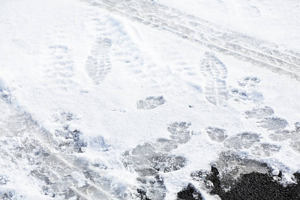 tło śledzi i nadruki śnieg na podjazd - isweather2013 zdjęcia i obrazy z banku zdjęć