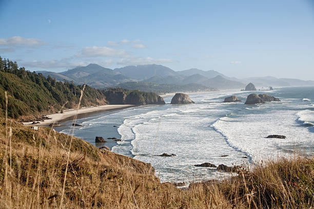 istock Pacific Northwest Coast Orean Shore Nature Scene 174826244