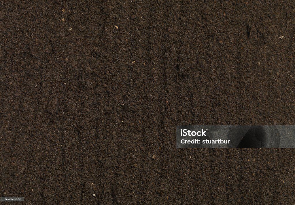 Tierra negra - Foto de stock de Agricultura libre de derechos