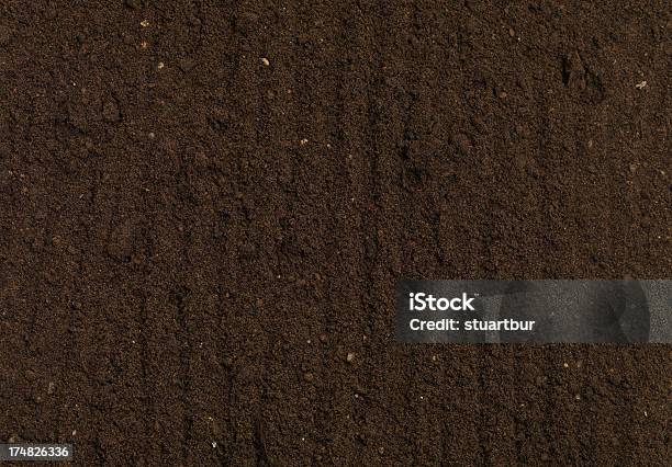 Tierra Negra Foto de stock y más banco de imágenes de Agricultura - Agricultura, Cultivado, Espacio en blanco