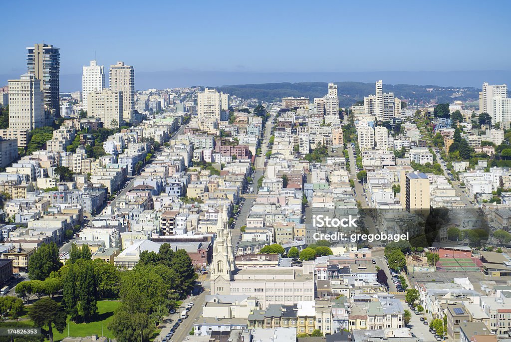 Vista del árbol Hill, Coit Tower en San Francisco - Foto de stock de Aire libre libre de derechos