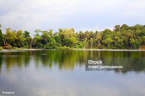 Foto de Lake E Da Floresta Tropical e mais fotos de stock de Bosque - Floresta - Bosque - Floresta, Cingapura, Exterior