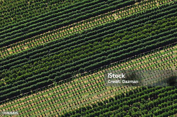 Vista Aérea De Una Fruta Orchard Foto de stock y más banco de imágenes de Recursos sostenibles - Recursos sostenibles, Orden, Agricultura