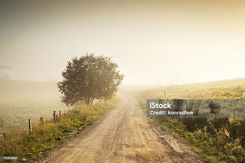 Misty Contry Road in Farmland - Fields, Meadows and Tree Farm Road Heading into the Bright Foggy Valley. The Sun is Shining above the Valley. Agricultural Field Stock Photo