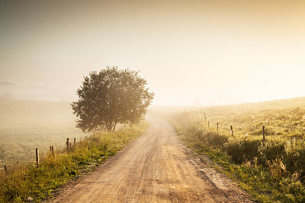 Misty Contry Road in Farmland - Fields, Meadows and Tree stock photo