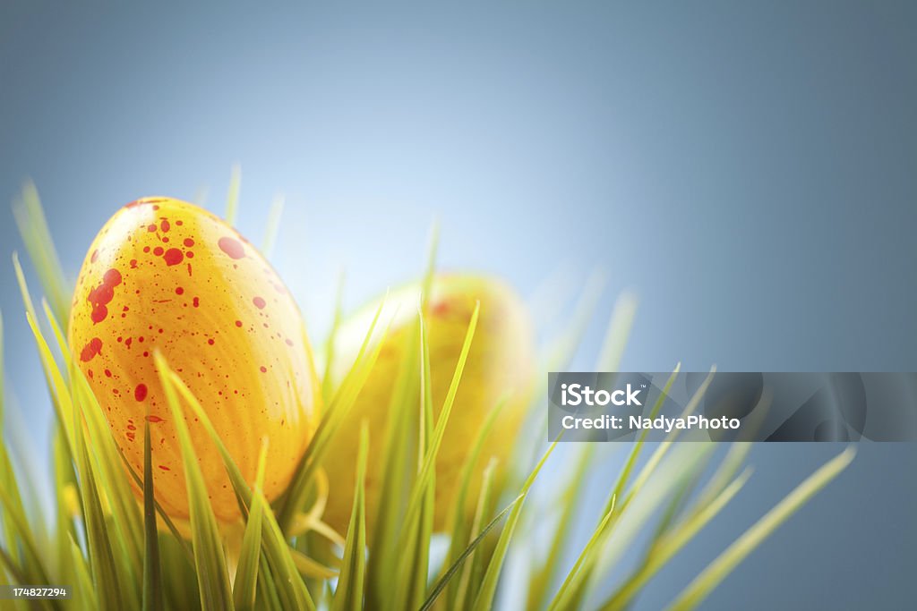 Uova di Pasqua - Foto stock royalty-free di Blu