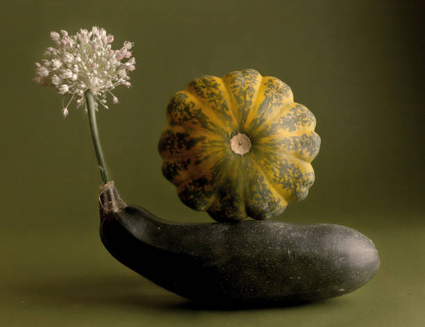 bodegón con calabacín, calabaza pattypan y flor de puerro. - autumn backdrop beautiful flower head fotografías e imágenes de stock