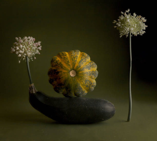 bodegón con calabacín, calabaza pattypan y flores de puerro. - autumn backdrop beautiful flower head fotografías e imágenes de stock