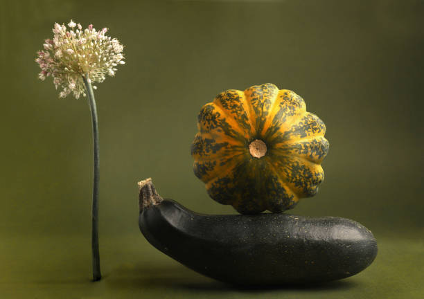 bodegón con calabacín, calabaza pattypan y flor de puerro. - autumn backdrop beautiful flower head fotografías e imágenes de stock