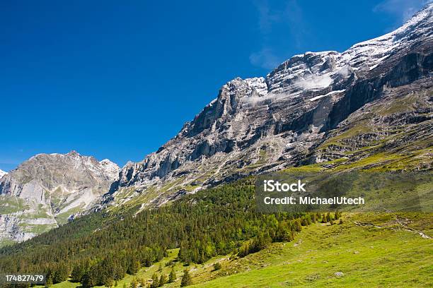 Góra Eiger Alpy Szwajcarskie - zdjęcia stockowe i więcej obrazów Alpy - Alpy, Berneński Oberland, Bez ludzi