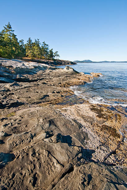 istock Wave Sculpted Rocks on the Strait of Georgia 174827529