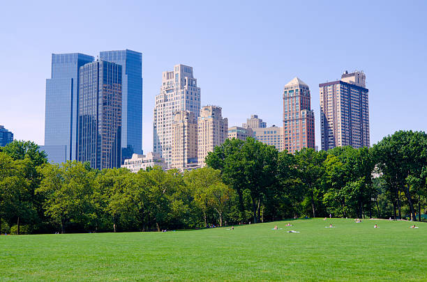 istock Sheep Meadow at Central Park in New York City 174827556