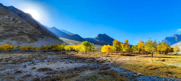 istock Beautiful Autumn (Fall) Colors 1748277665