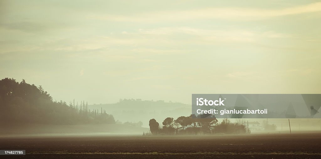 Niebla día - Foto de stock de Conmoción libre de derechos