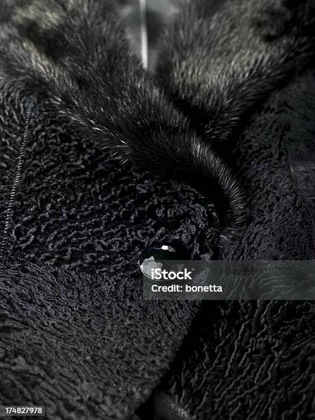 Closeup Shot Of A Jacket Stock Photo - Download Image Now - Mink Fur, Black  Color, Fur Coat - Istock