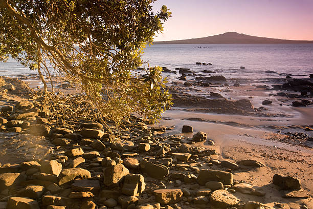 Rangitoto Island "Rangitoto Island, a dormant volcano which last erupted around 500 to 600 years ago, seen from Auckland's north shore on a pinkinsh sunrise. Graduated ND filter used here." rangitoto island stock pictures, royalty-free photos & images