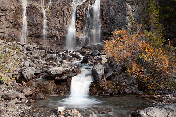 tangle falls - fressness fotografías e imágenes de stock