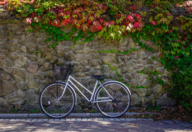 istock A bicycle parking at old town 1748283585