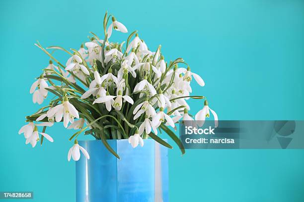 Snowdrops - Fotografias de stock e mais imagens de Azul - Azul, Azul Turquesa, Bouquet