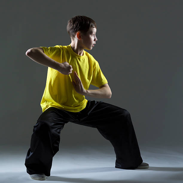 istock Young Boy in Kung Fu fighting position 174828734