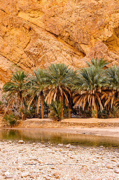 wadi shab - sharqiyah photos et images de collection