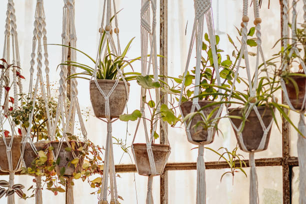 handmade cotton macrame plant hangers hanging from the ceiling