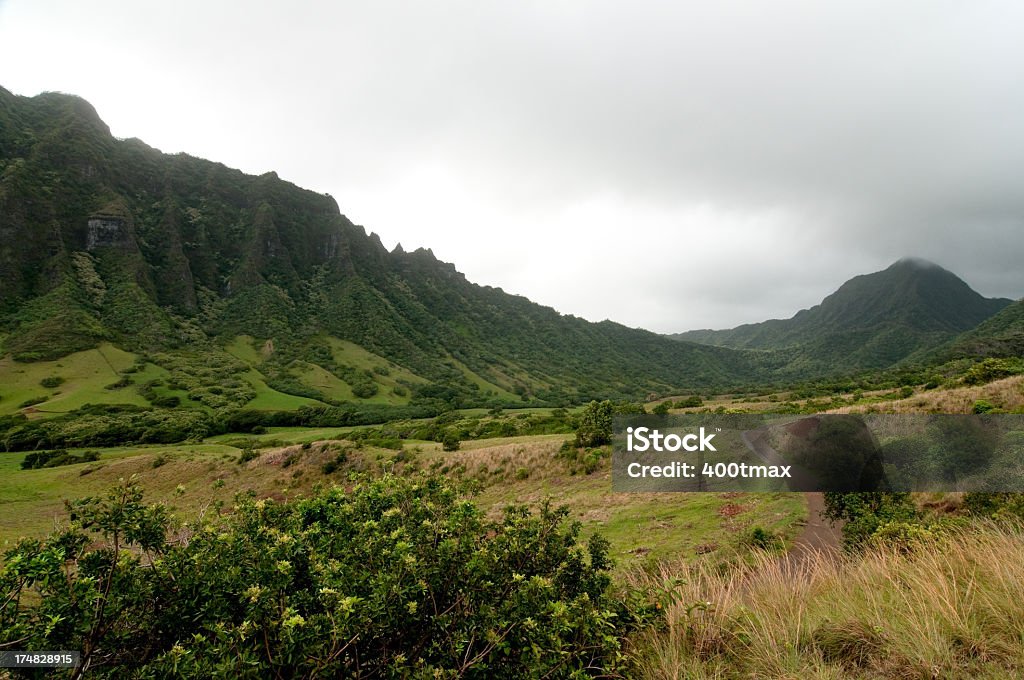 Kualoa valley - Foto de stock de Oahu libre de derechos