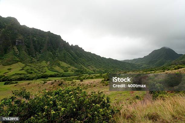 Kualoa Valley Foto de stock y más banco de imágenes de Oahu - Oahu, Aire libre, Belleza de la naturaleza