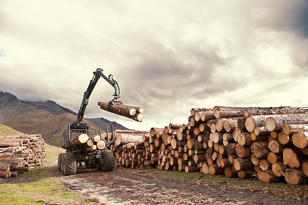 Transporting Lumber stock photo