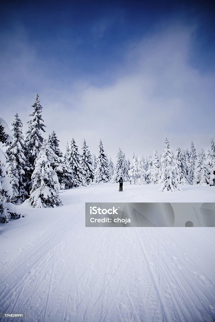 Corredor de esqui de inverno em um belo day.Rogla, Eslovênia - Foto de stock de Atividade Recreativa royalty-free