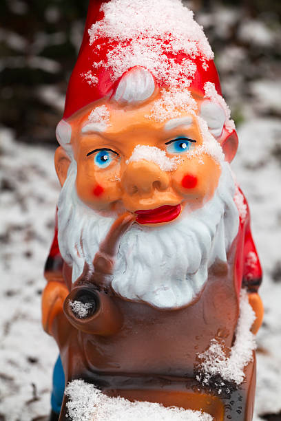 istock Garden Gnome in Winter 174829018