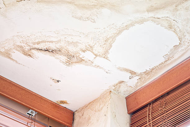 istock Water-damaged domestic ceiling, house interior 174829021