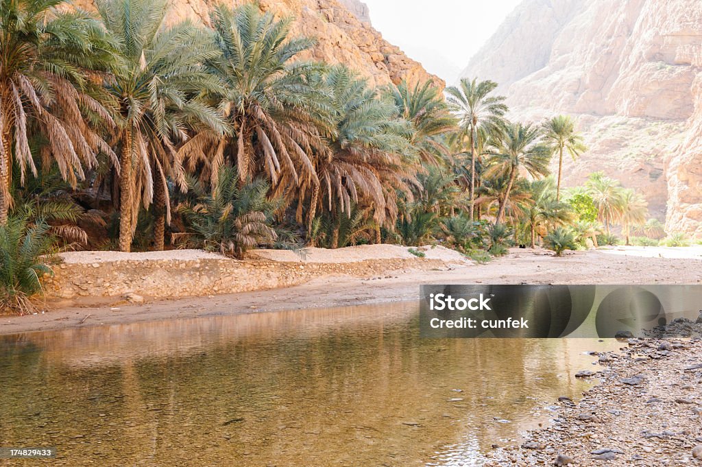 Wadi Shab - Foto de stock de Arábia royalty-free