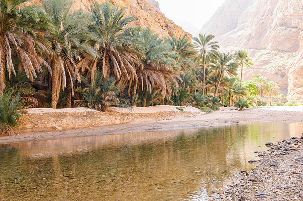 wadi shab - travel adventure water oman - fotografias e filmes do acervo