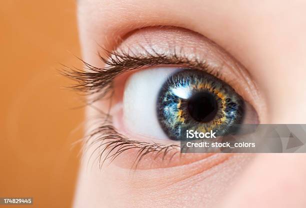 Macro De Olho Azul - Fotografias de stock e mais imagens de Aberto - Aberto, Adulto, Amarelo