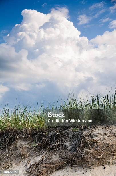 Cape Cod Beach Grass Stock Photo - Download Image Now - Cape Cod, Cloud - Sky, Cloudscape