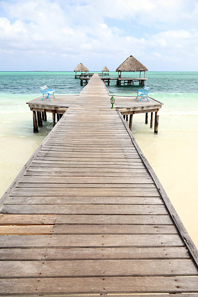 тропический пляж с пирсом - beach bench caribbean sea cloudscape стоковые фото и изображения