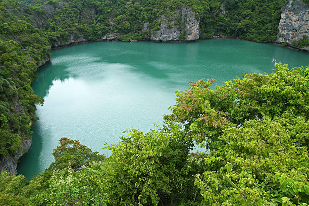 jezioro szmaragdowe - ang thong islands zdjęcia i obrazy z banku zdjęć